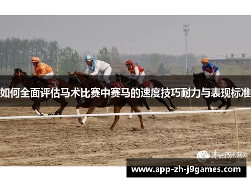 如何全面评估马术比赛中赛马的速度技巧耐力与表现标准