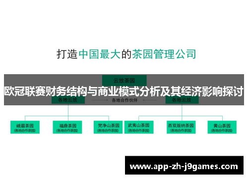 欧冠联赛财务结构与商业模式分析及其经济影响探讨