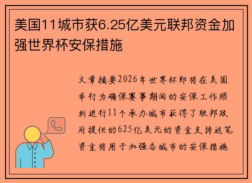 美国11城市获6.25亿美元联邦资金加强世界杯安保措施